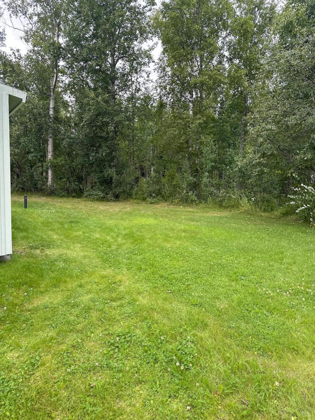 Cloud Nine Cottage Big Lake Exteriör bild